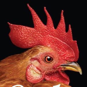 Meet your Posher, Real sam